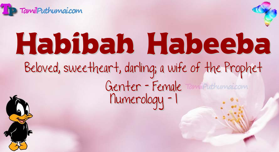 Habibah  Habeeba-babyname-meaning